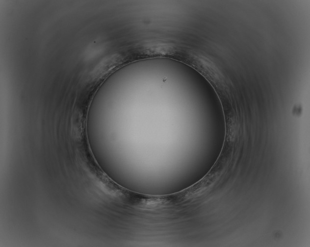X0000091530414200708241716