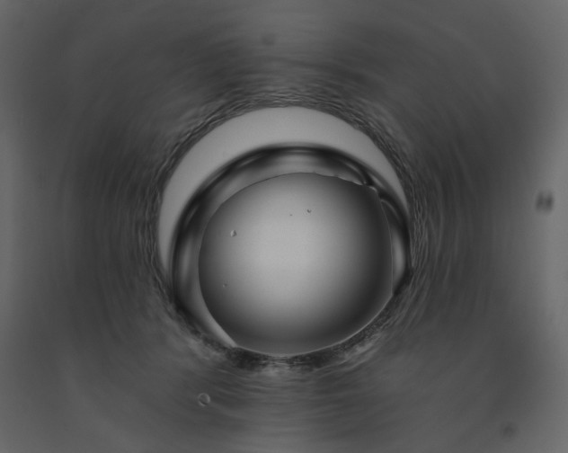 X0000091530416200708241716