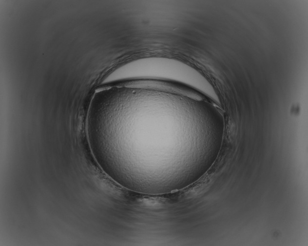 X0000091530417200708241716