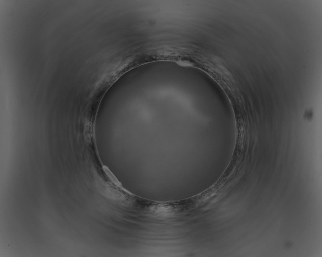 X0000091530419200708241716