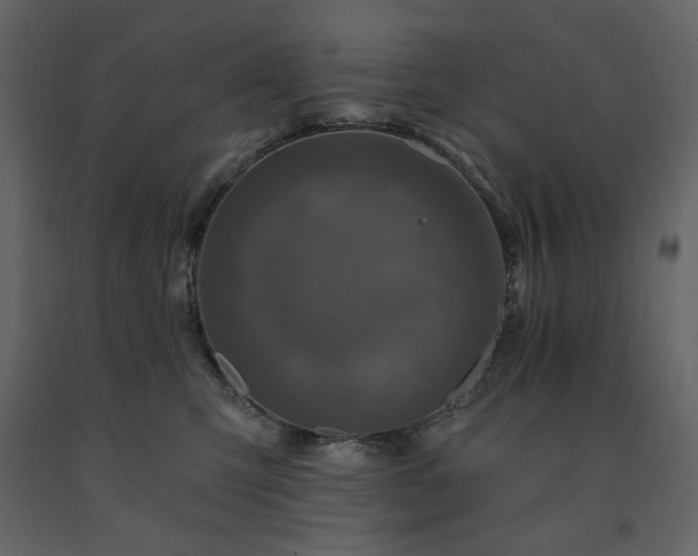 X0000091530423200708241716
