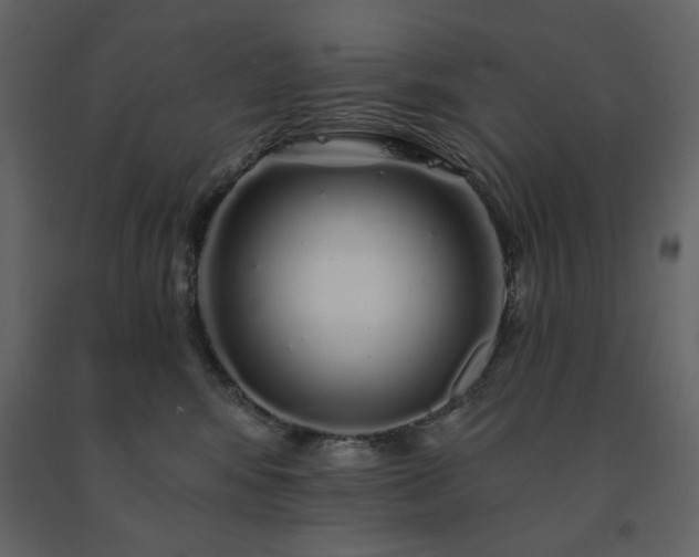 X0000091530424200708241716