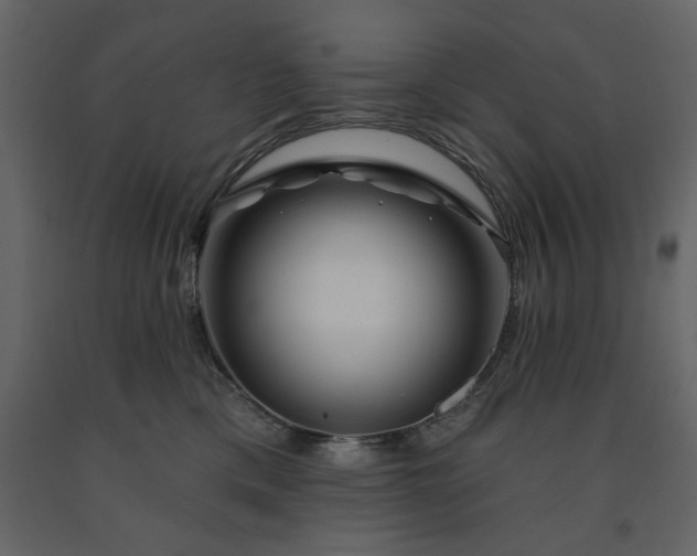 X0000091530425200708241716