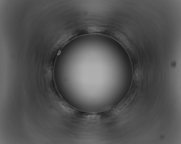 X0000091530426200708241716