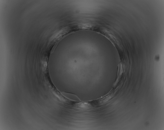 X0000091530427200708241716