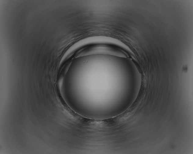 X0000091530428200708241716