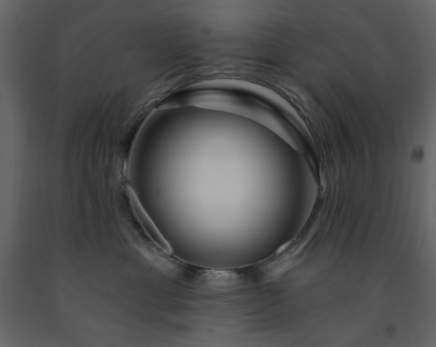 X0000091530429200708241716