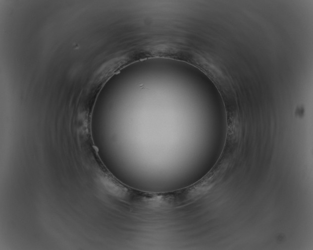 X0000091530430200708241716