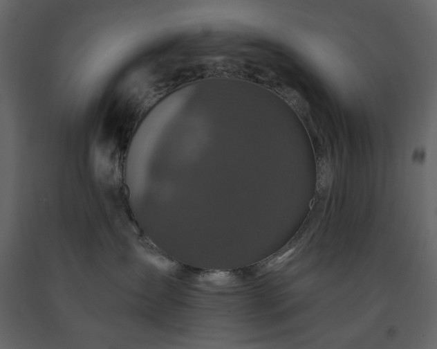 X0000091530431200708241716