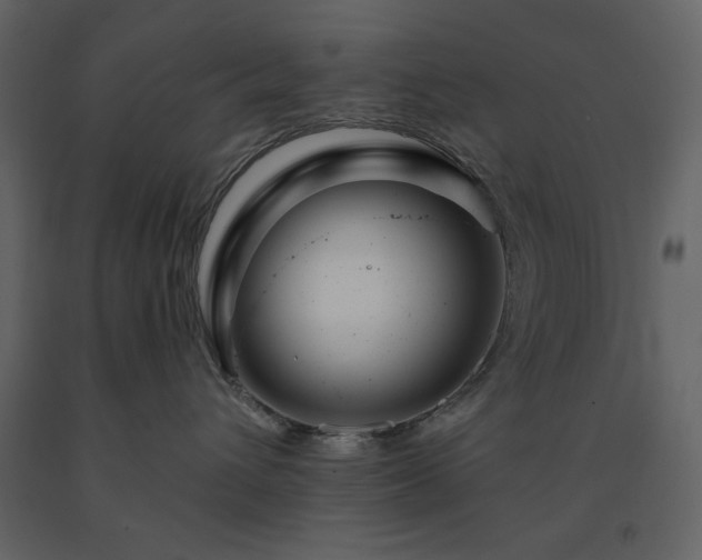 X0000091530432200708241716