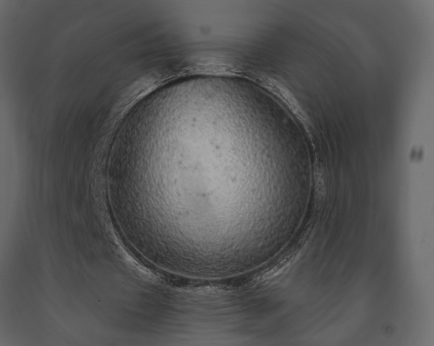 X0000091530433200708241715