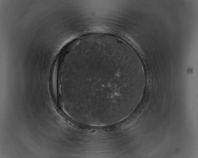 X0000091530434200708241715
