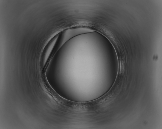 X0000091530435200708241715