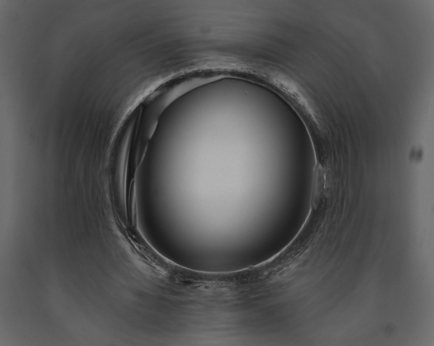 X0000091530436200708241715