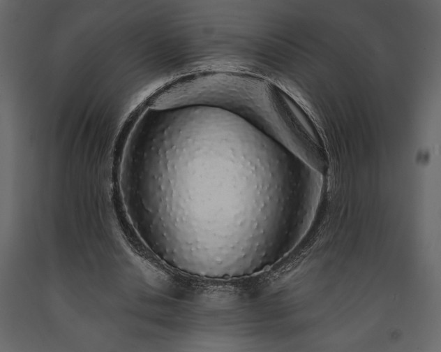 X0000091530438200708241715