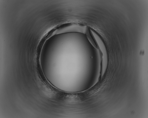 X0000091530440200708241715