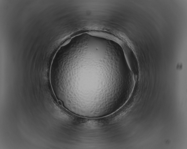 X0000091530441200708241715