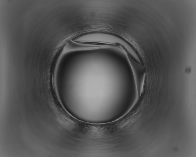 X0000091530442200708241715