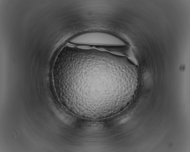 X0000091530443200708241715