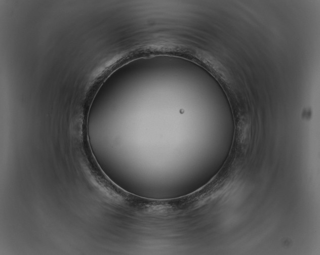 X0000091530446200708241715
