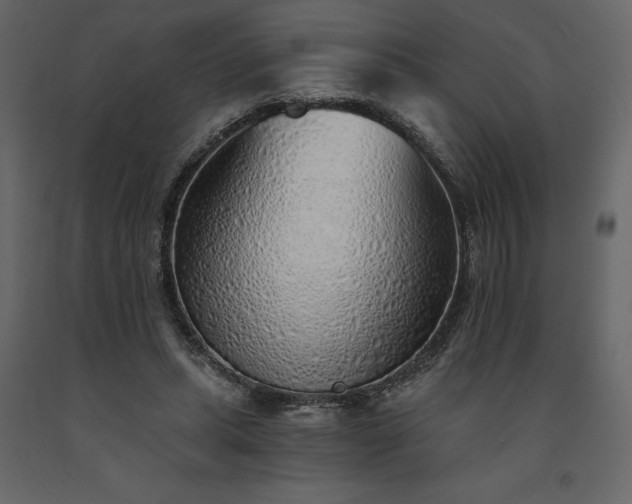 X0000091530447200708241715