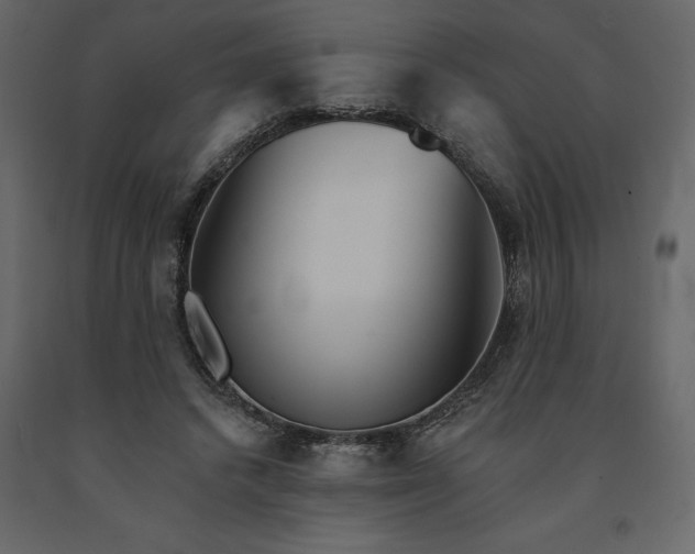 X0000091530448200708241715