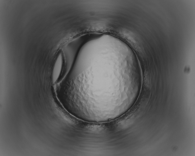 X0000091530449200708241715