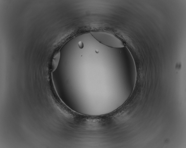 X0000091530450200708241715