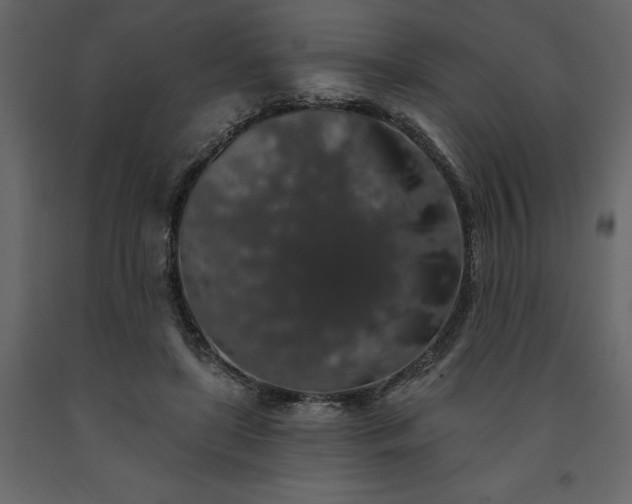 X0000091530451200708241715
