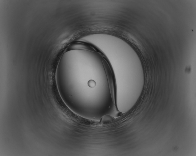 X0000091530452200708241715