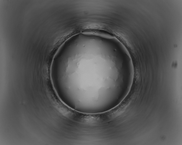 X0000091530453200708241715