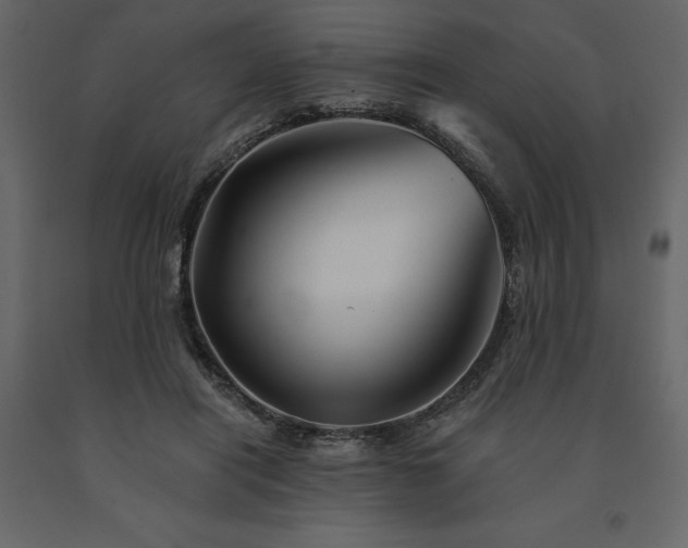 X0000091530454200708241715