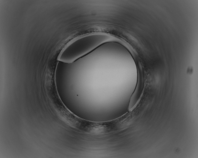 X0000091530456200708241715