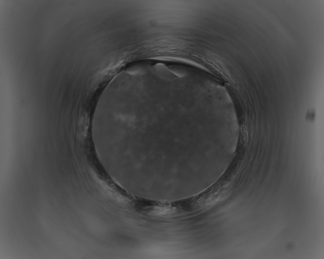 X0000091530458200708241716