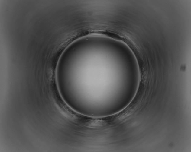 X0000091530459200708241716