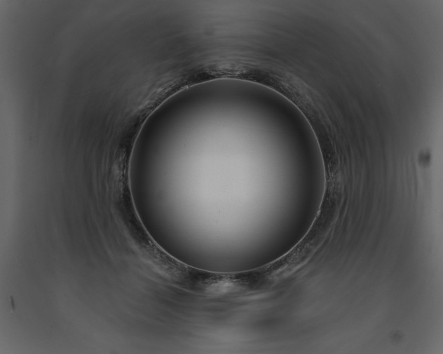 X0000091530460200708241716