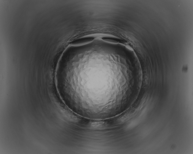 X0000091530461200708241716
