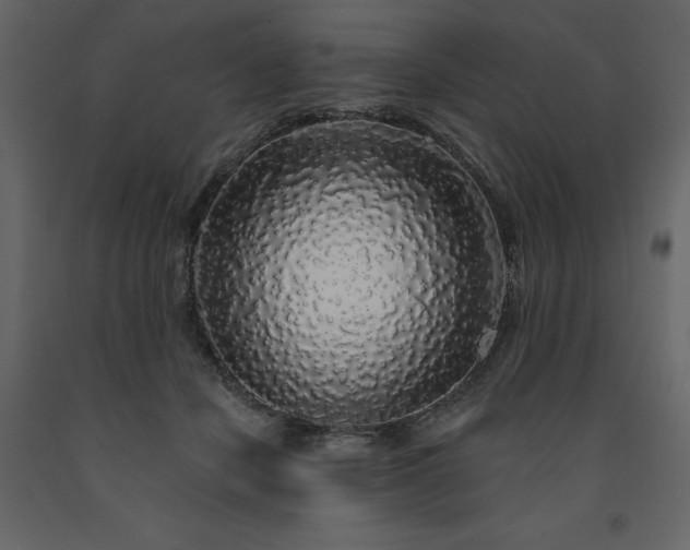 X0000091530462200708241716
