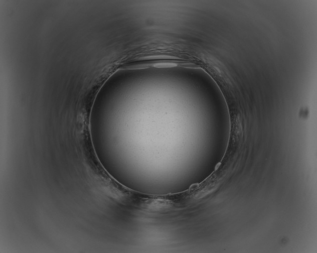X0000091530463200708241716
