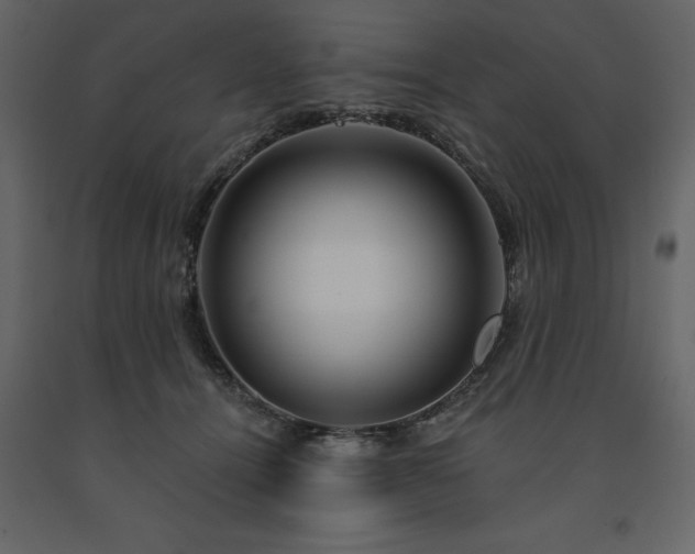 X0000091530464200708241716