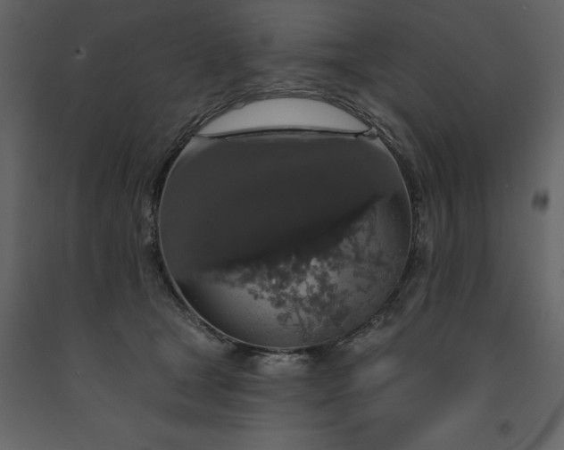 X0000091530465200708241716