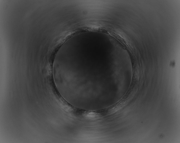 X0000091530467200708241716