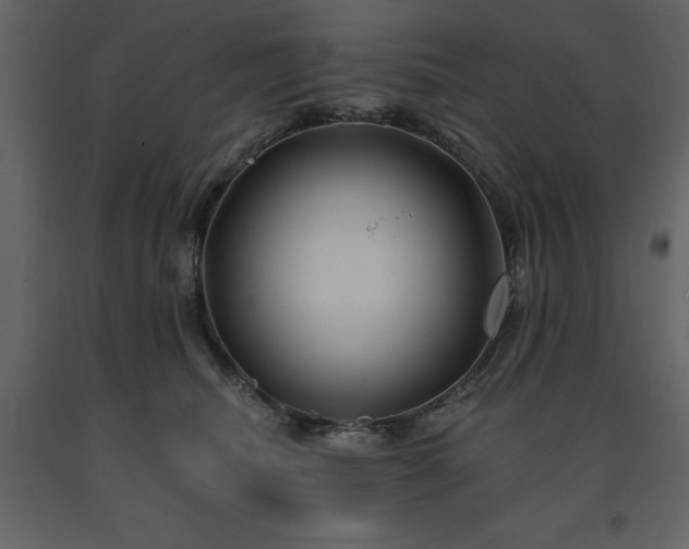 X0000091530468200708241716
