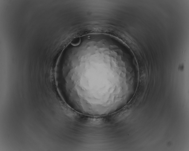 X0000091530469200708241716