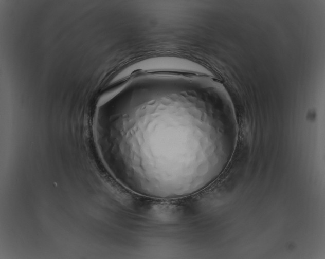 X0000091530470200708241716