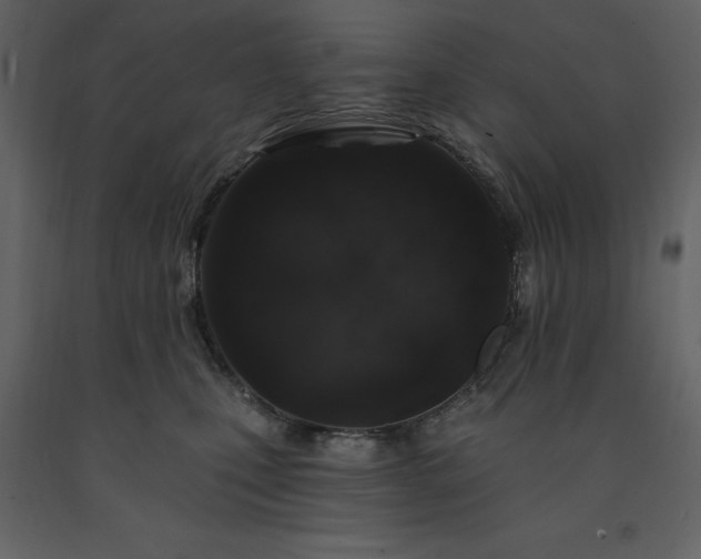 X0000091530471200708241716