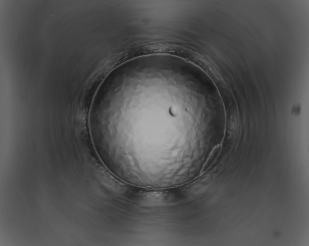 X0000091530473200708241716
