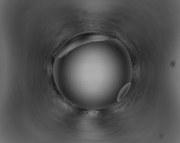 X0000091530474200708241716