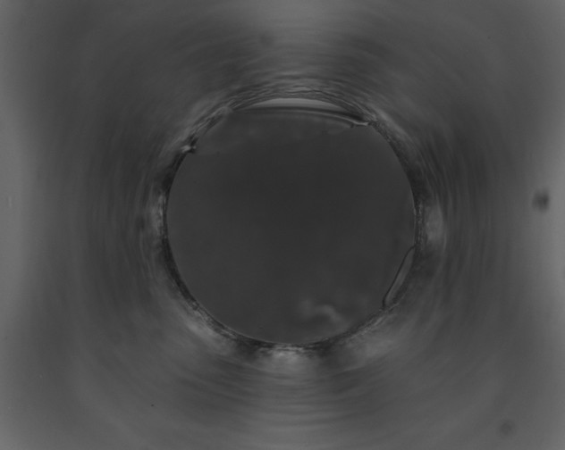 X0000091530475200708241716