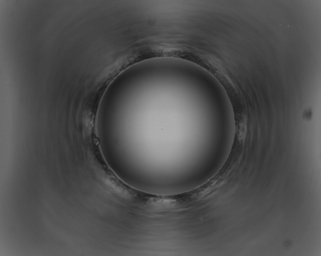 X0000091530476200708241716